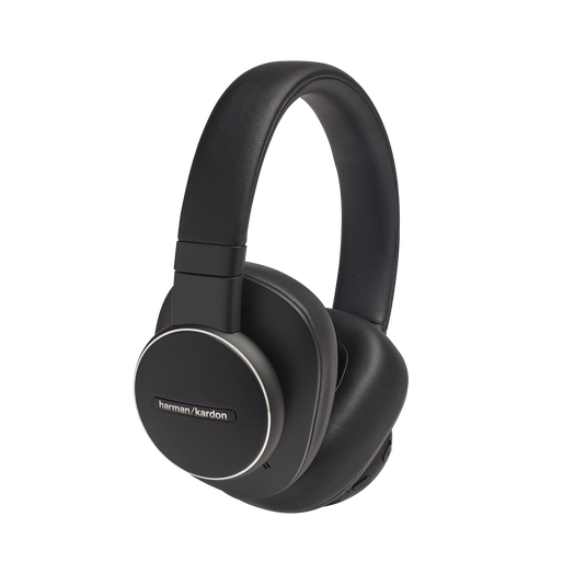 Harman kardon deals fly review