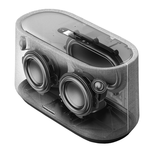 Harman Kardon Citation 300 The medium-size smart home speaker